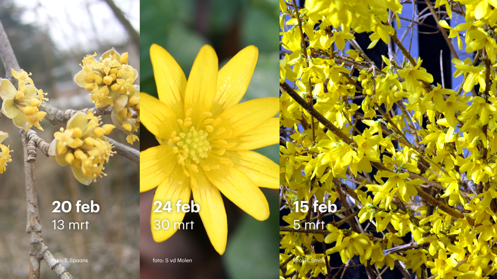 lente vroeger 04 - WEER.png