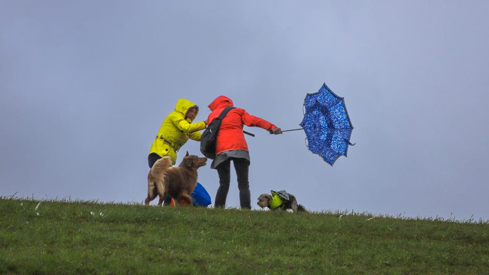 Veel wind en regen (foto: Ilse Kootkar)