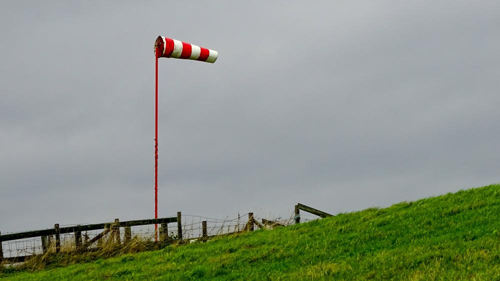 Bij tijd en wijle veel wind (foto: Ria Brasser)