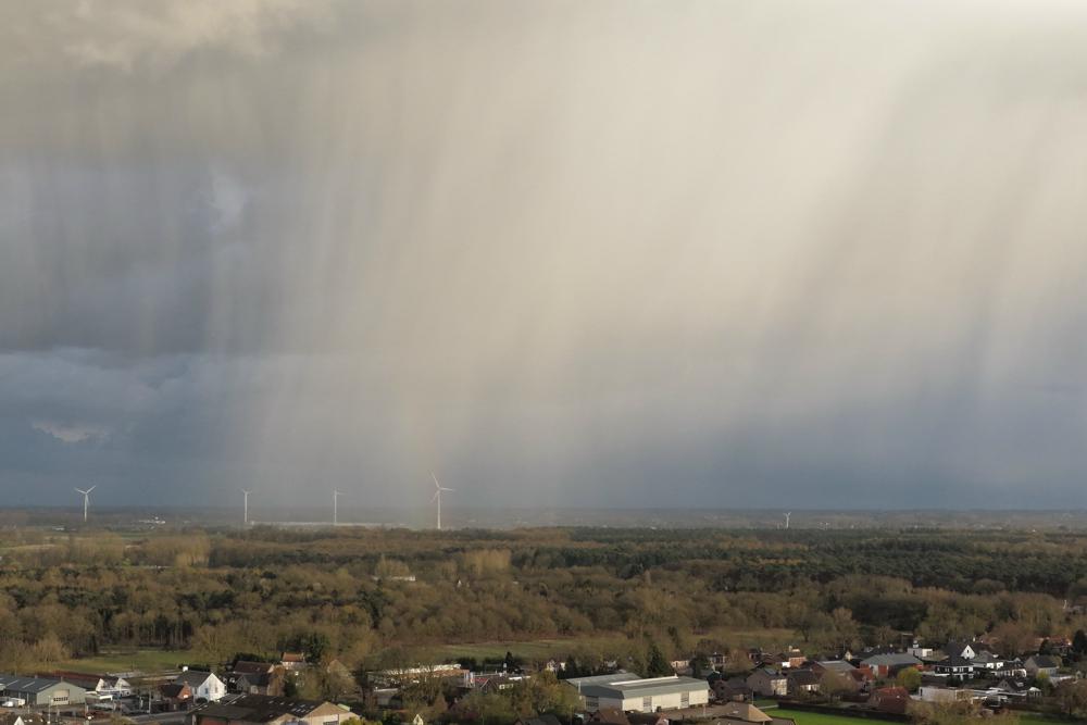 Werner de Vliegere_Hulst2.jpg