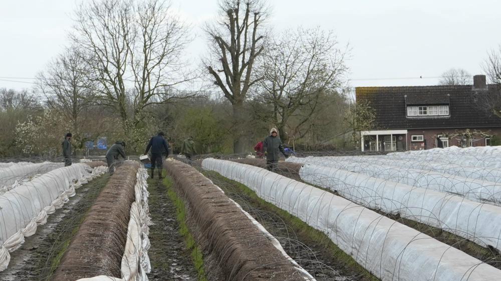 Toon Boons_Berkel-Enschot.jpg