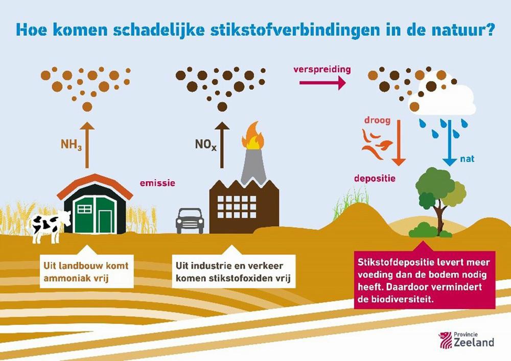 Hoe-komen-schadelijke-stikstofverbindingen-in-de-natuur-terecht.jpg