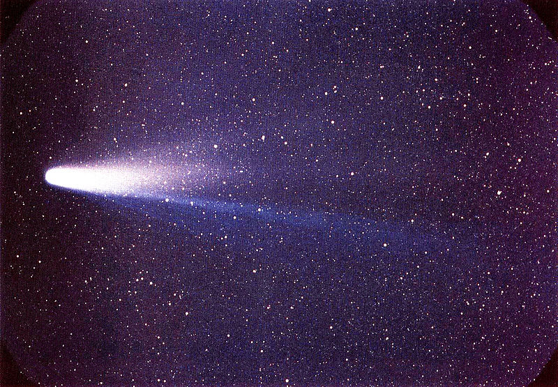 comet_halley_NASA via Wikipedia.jpg