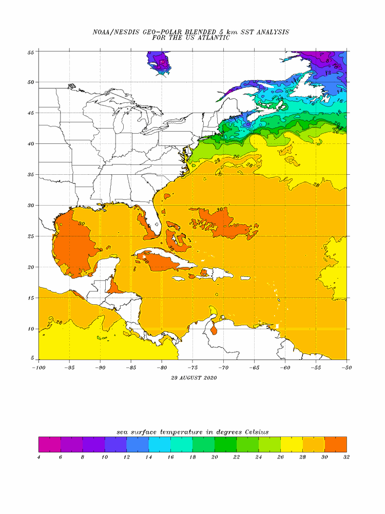 Temperatuur zeewater 29-08-2020 (bron: NOAA)