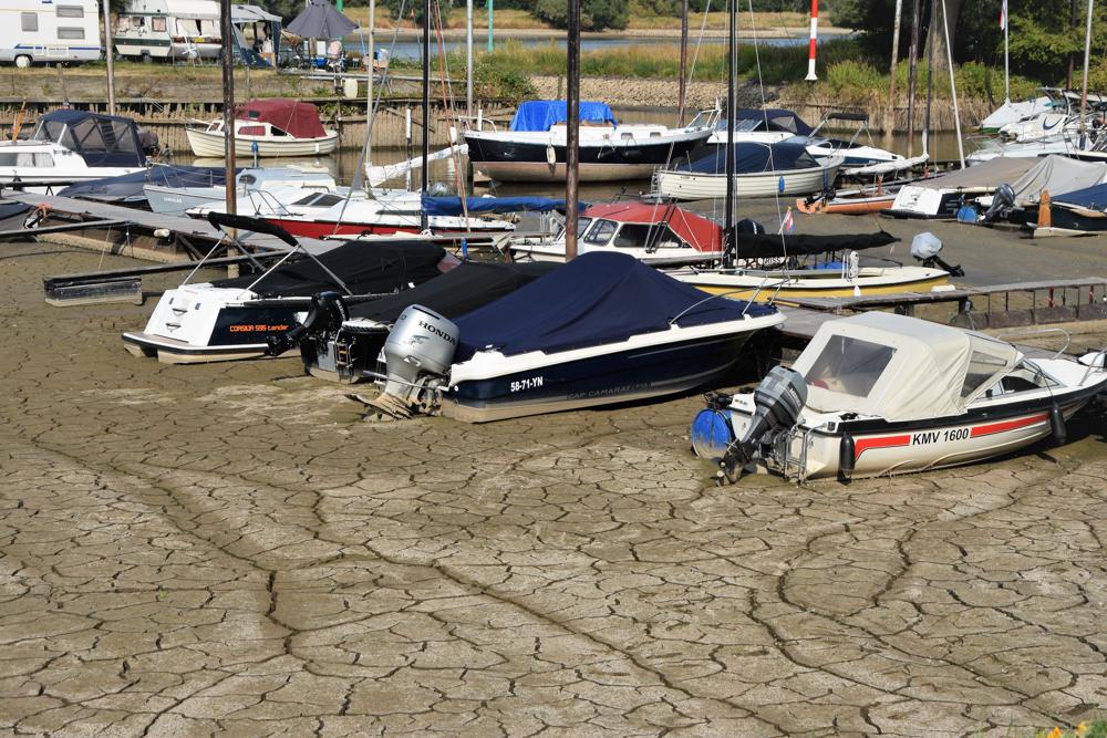 Droogte in de zomers neemt toe (foto: augustus 2022, Cynthia van Leusden)