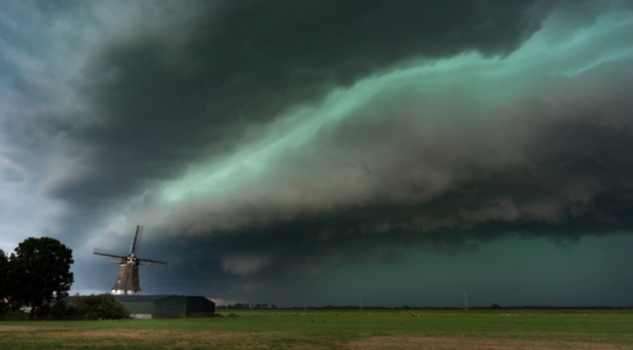 shelfcloud.png