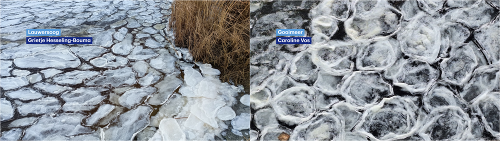 image (59).png image (59).png