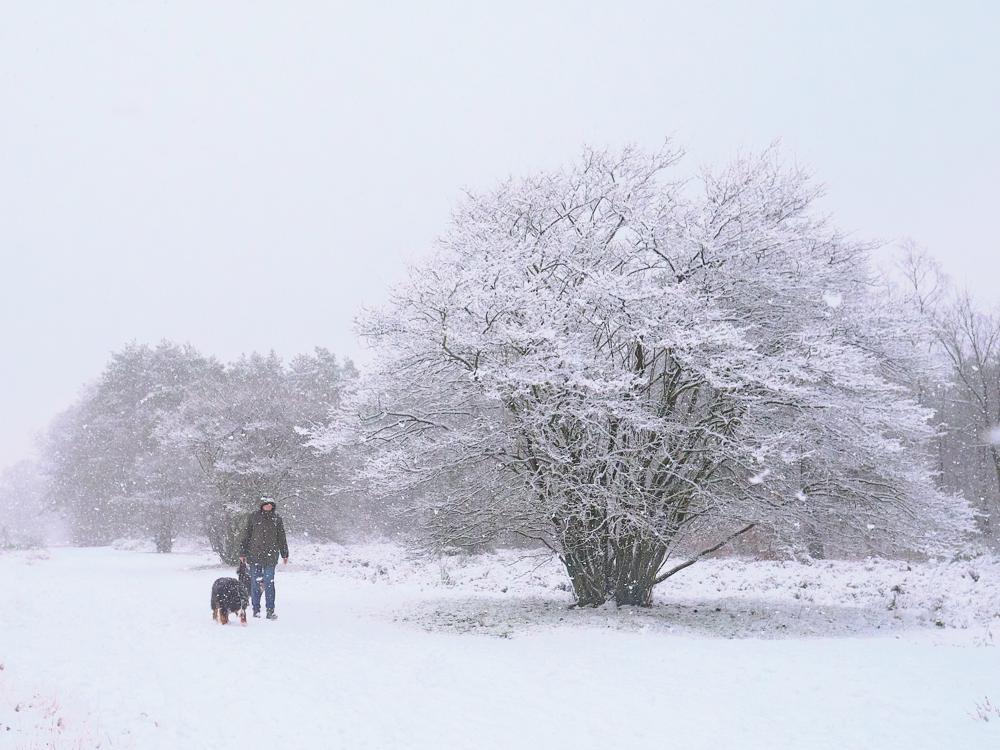 20230120_Diederick van Nieuwburg_Hilversum.jpg 20230120_Diederick van Nieuwburg_Hilversum.jpg