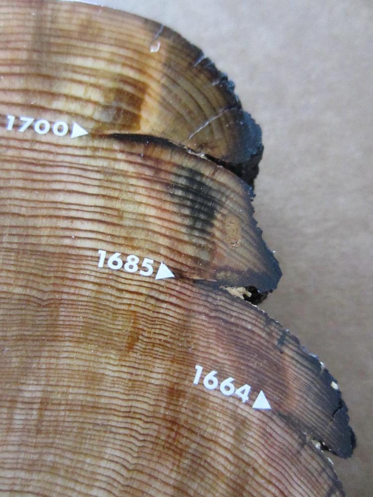 Santa_Fe_Watershed_fire_scar_sample_w_dates.jpg