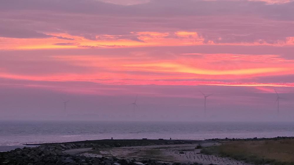 20220908_Tonny de Vries_Delfzijl.jpg