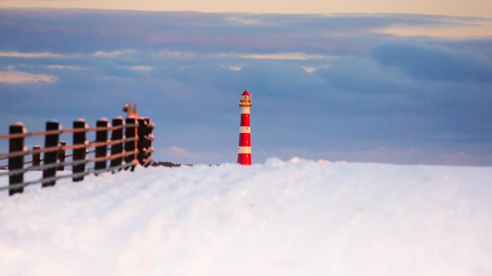 Door het sneeuwdek kwam het op de Waddeneilanden lokaal ook tot strenge vorst. (foto: J.J. vd Laag)
