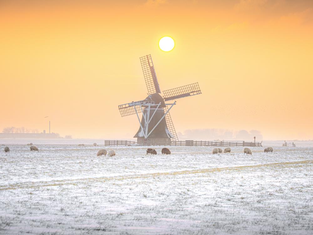 Tim Zijlstra, Rinsumageast.jpg