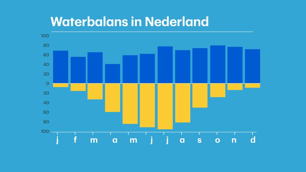 De Nederlandse waterbalans.jpg