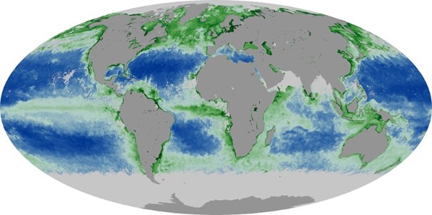 Satelliet NASA fytoplankton.jpg