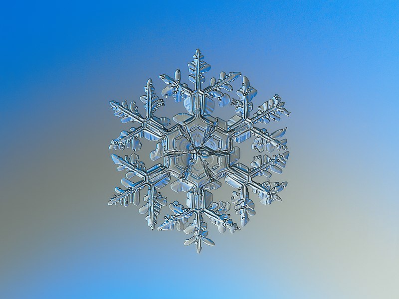 Snowflake_macro_photography_1_Alexey Kljatov_wikipedia.jpg