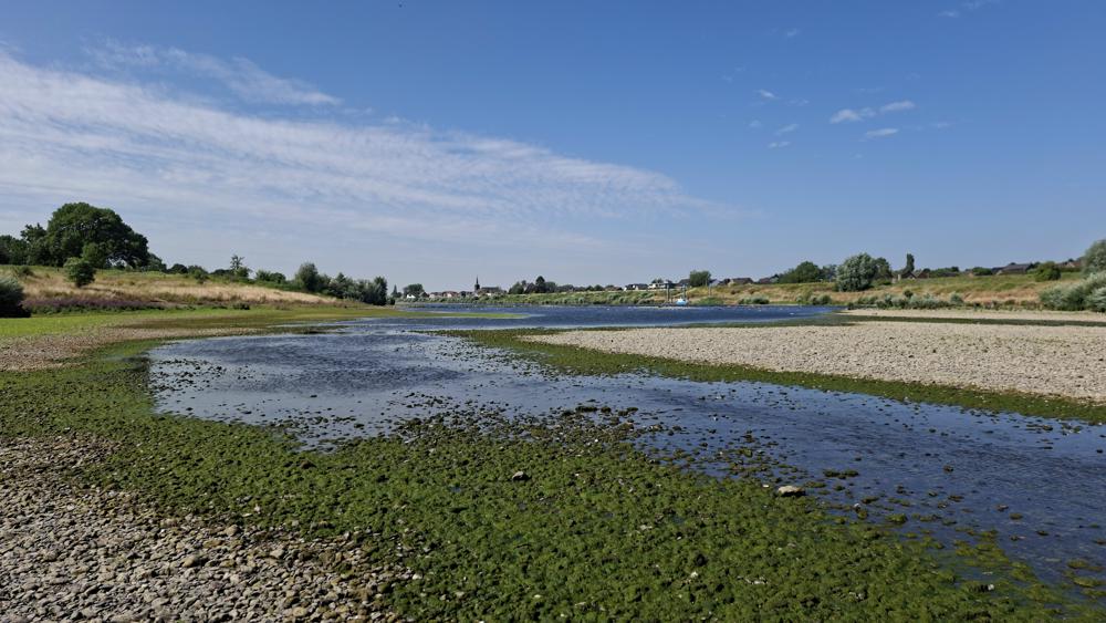 10085608_source.jpg