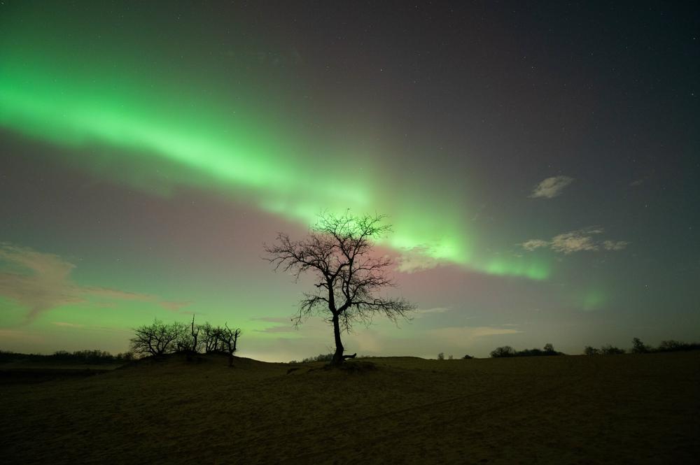 9691081_source.jpg 9691081_source.jpg