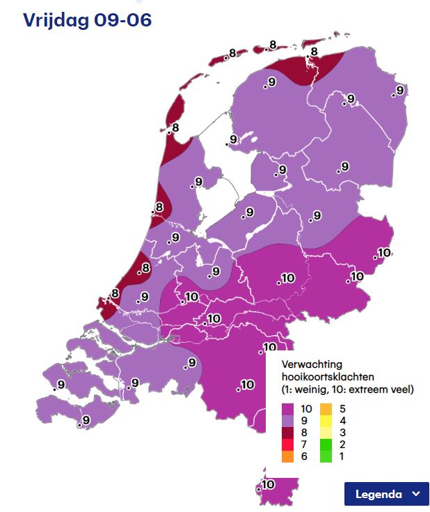 zomerhooikoorts.JPG