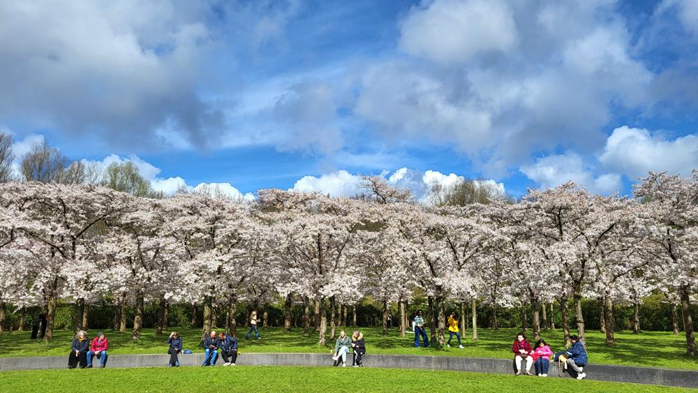 Heidi Roest_Amstelveen.jpg