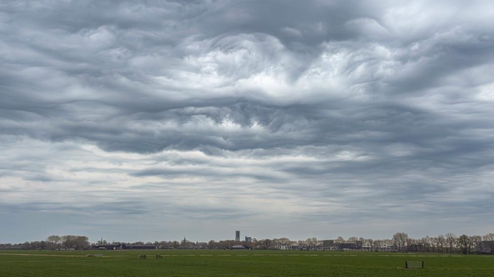 9866001_source.jpg 9866001_source.jpg