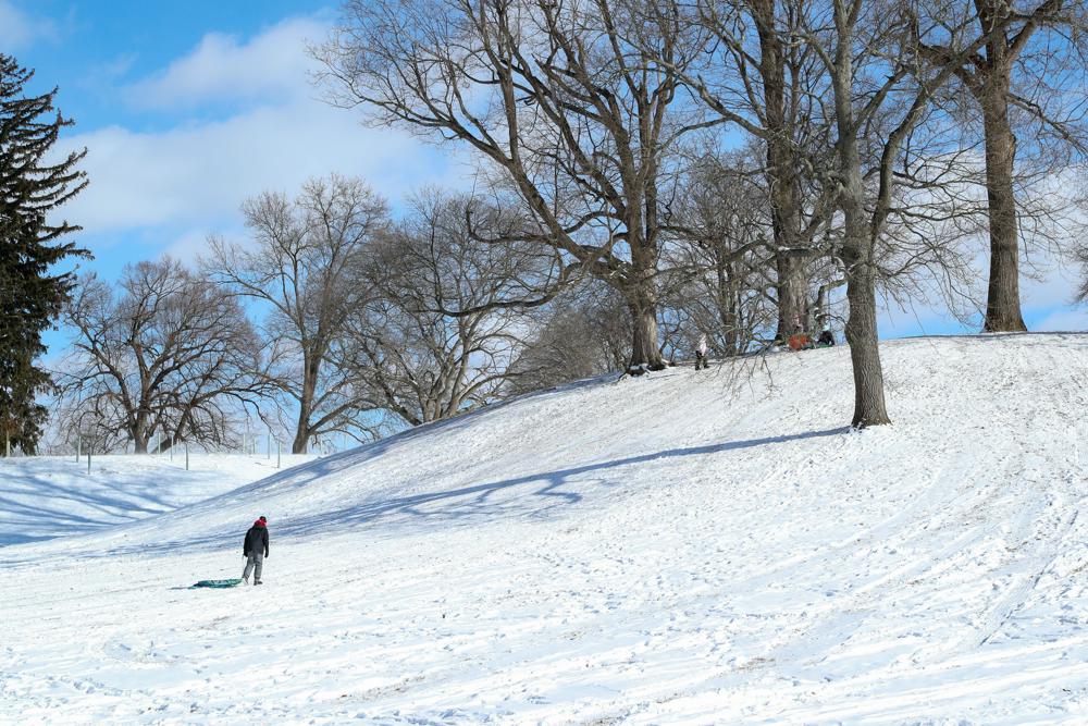 Sneeuw in Danville (Virginia) is verre van ongewoon, maar dit beeld zou in New Orleans uitzonderlijk zijn (foto: ANP)