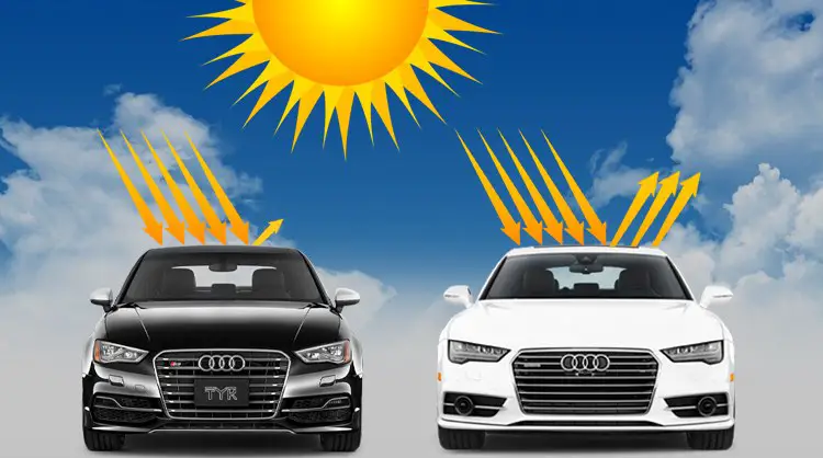 white-vs-black-car-in-summer.png