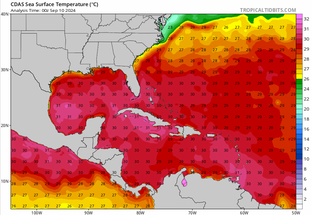 cdas-sflux_sst_watl_1 (2).png