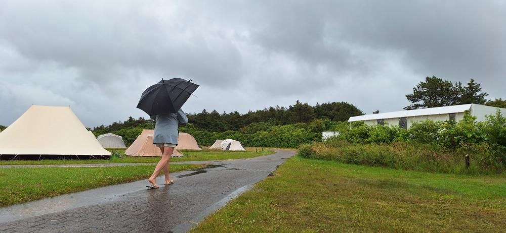 Hollands zomerweertje (foto: Arnout Bolt)