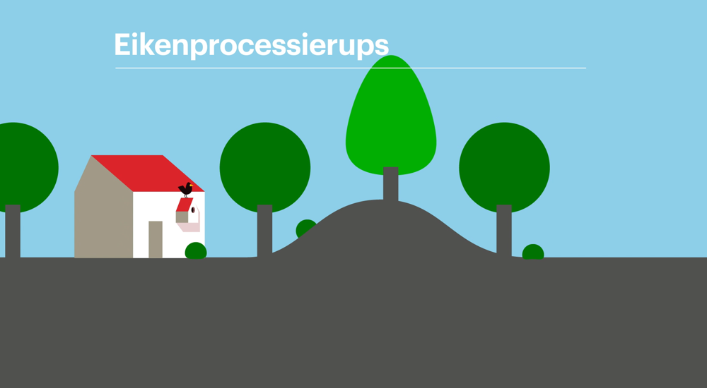 Bevorder het leefgebied voor de vijanden van de eikenprocessierups
