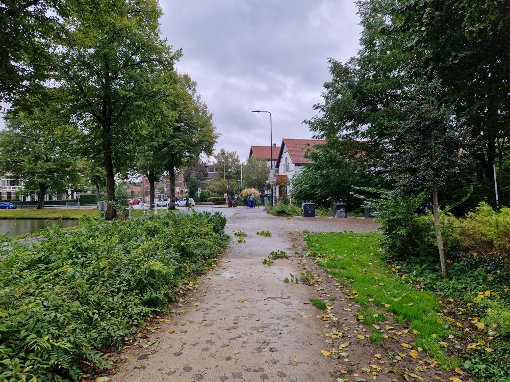 20240927_Irma Booij_Leiden.jpeg