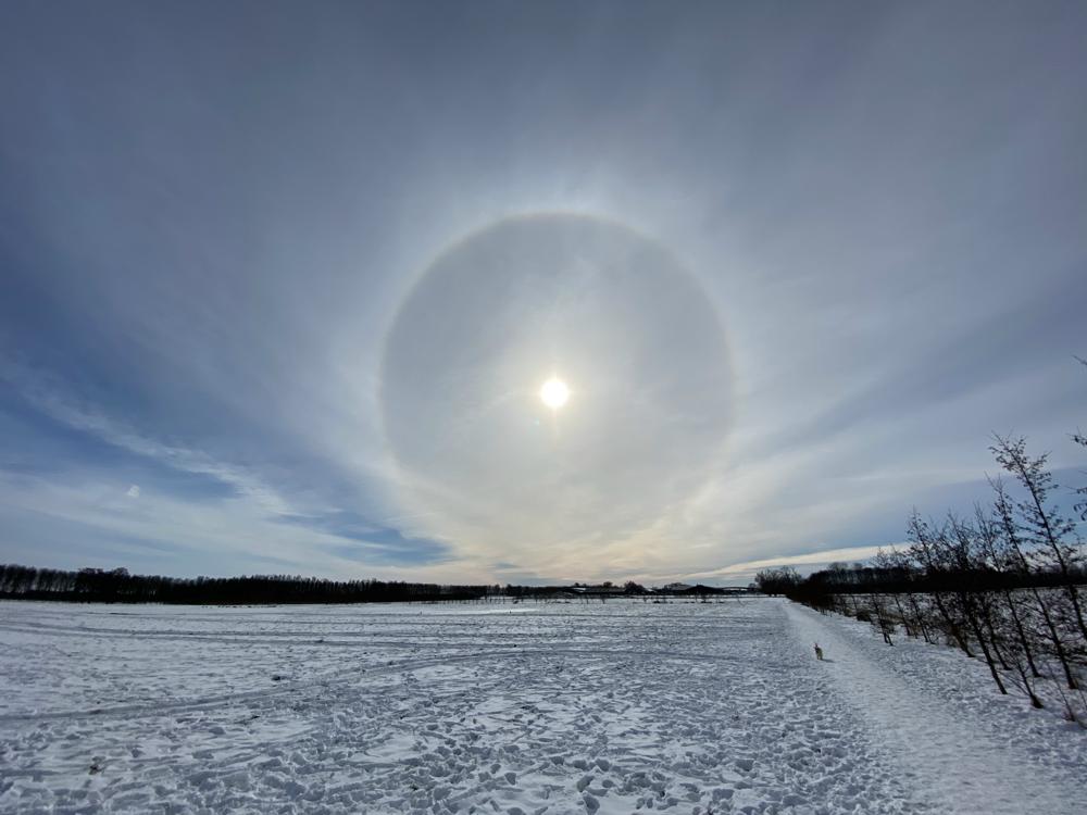 In sommige gevallen kan het zonlicht worden gebroken in de ijskristallen van Cirrus-wolken en onstaat een kring om de zon, ofwel een halo (Robert Mooij)