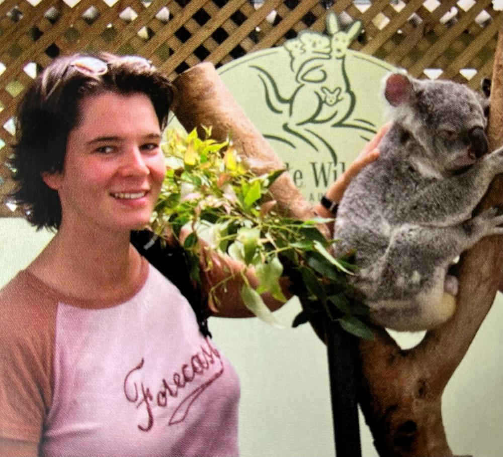 koala2.jpg