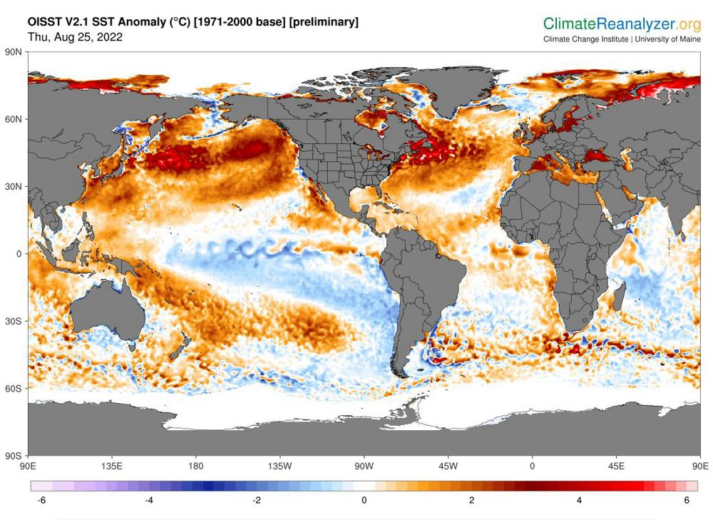 SST Anomaly.JPG