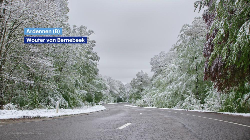 Foto sneeuw mei.jpg