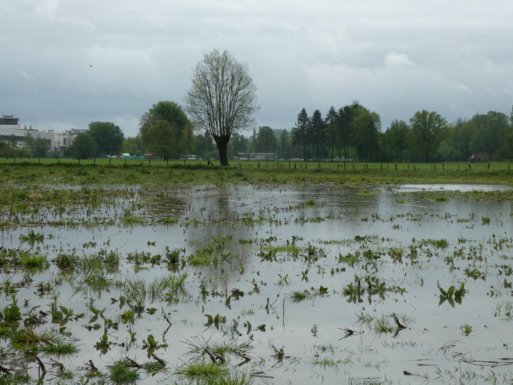 20240503_Marij Bouwers_Wijlre.jpg