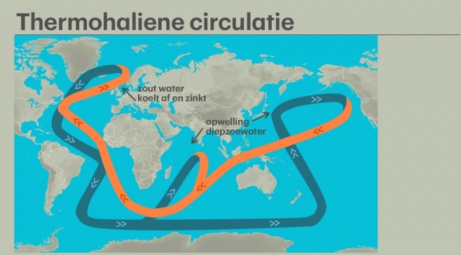 Thermohaliene circulatie.jpg