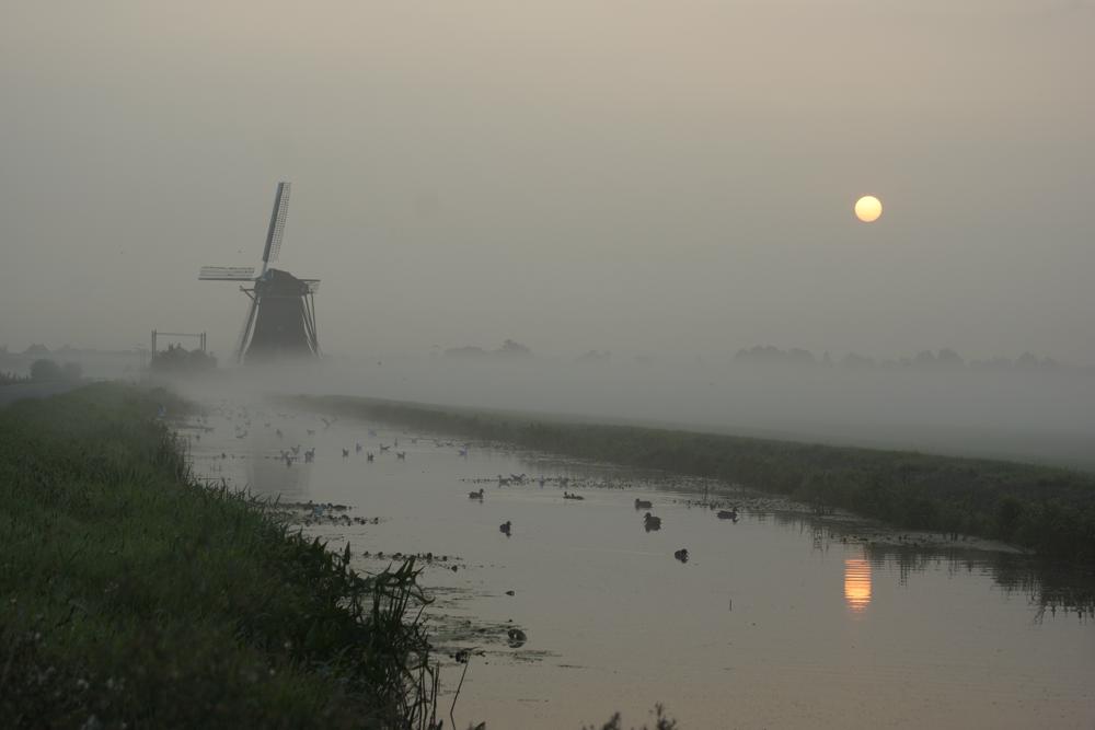 20180822_Joost Mooij_Alphen aan den Rijn.jpg