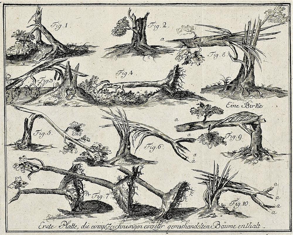 Tornado_Woldegk_1764_-_contemporary_illustration_of_damages_-_processed.jpg
