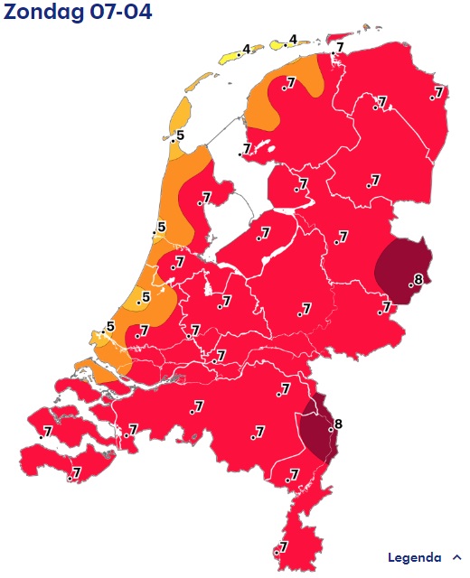 pollenzondag.jpg