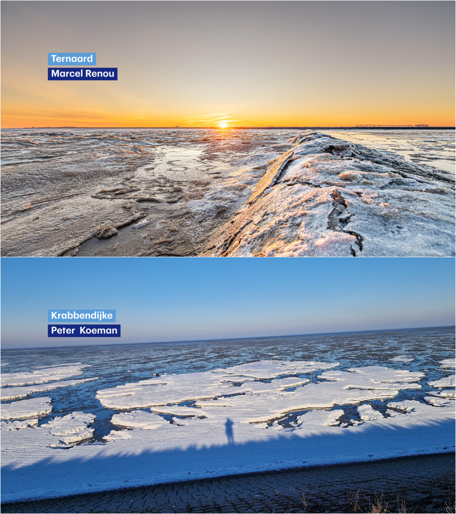 image (61).png image (61).png