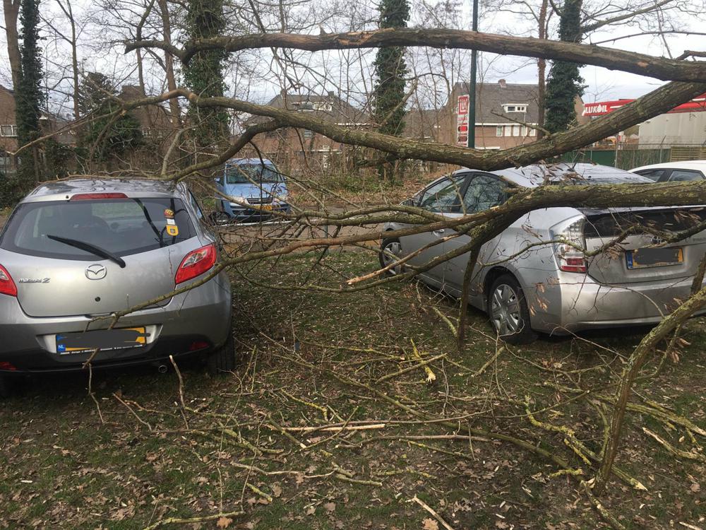 Stormschade Limburg.jpg