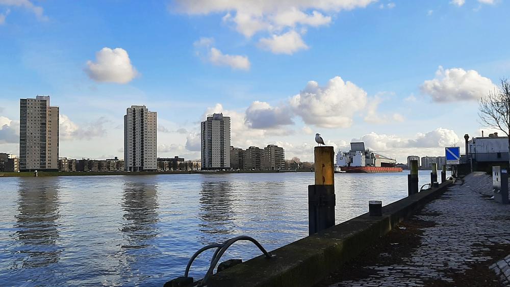 Jaap Mol, Rotterdam.jpg