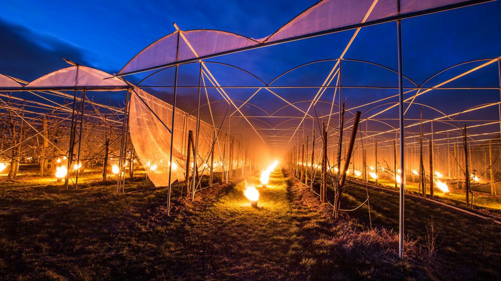 Ab Donker_Buurmalsen.jpg