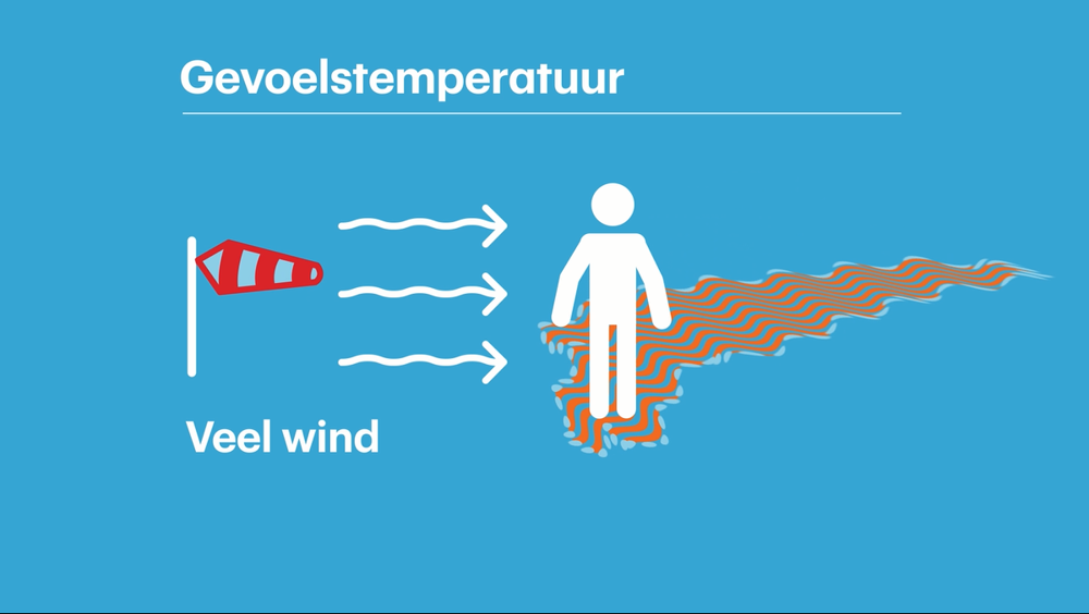 Gevoelstemperatuur_veel_wind.PNG