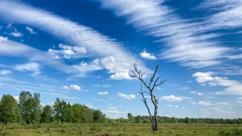 Vriendelijke stapelwolkjes, Cumulus - ook lage wolken. Hoog in de lucht zijn uitgewaaide vliegtuigstrepen of contrails zichtbaar. De onnatuurlijke wolken verraden hun herkomst door de rechte lijnen (foto: Rene Wolf)