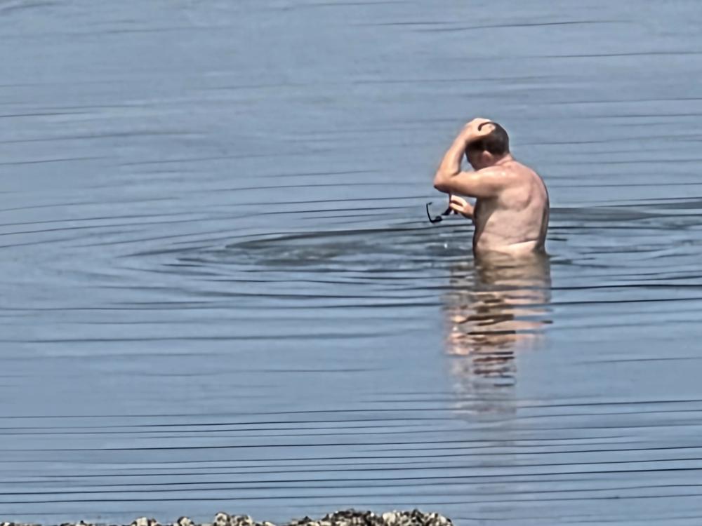 20250629_Werner de Vliegere_Ossenisse.jpg