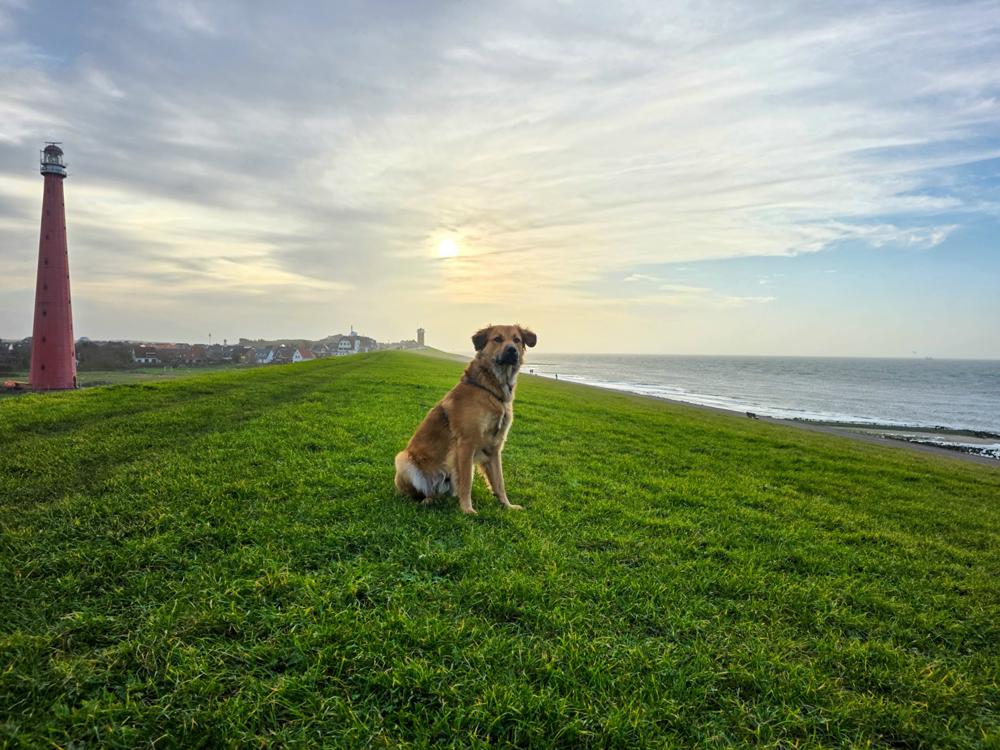 20251210_Nel van Es_Den Helder.jpg 20251210_Nel van Es_Den Helder.jpg