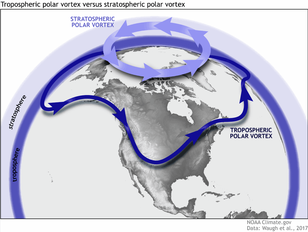 Polar vortex.png