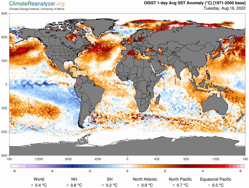 De afwijking van de gemiddelde zeewatertemperatuur in deze tijd van het jaar. Duidelijk is te zien dat bijna alle oceanen en zeeÃƒÂ«n op het noordelijk halfrond veel warmer zijn dan gebruikelijk.