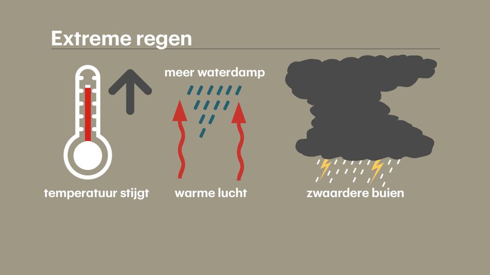 Extreme_regen_04.jpg